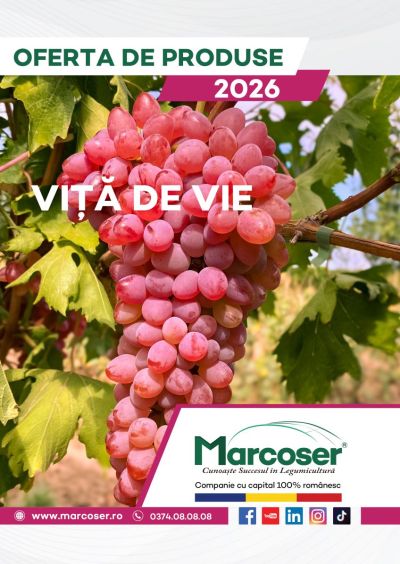 Catalog Vita de Vie
