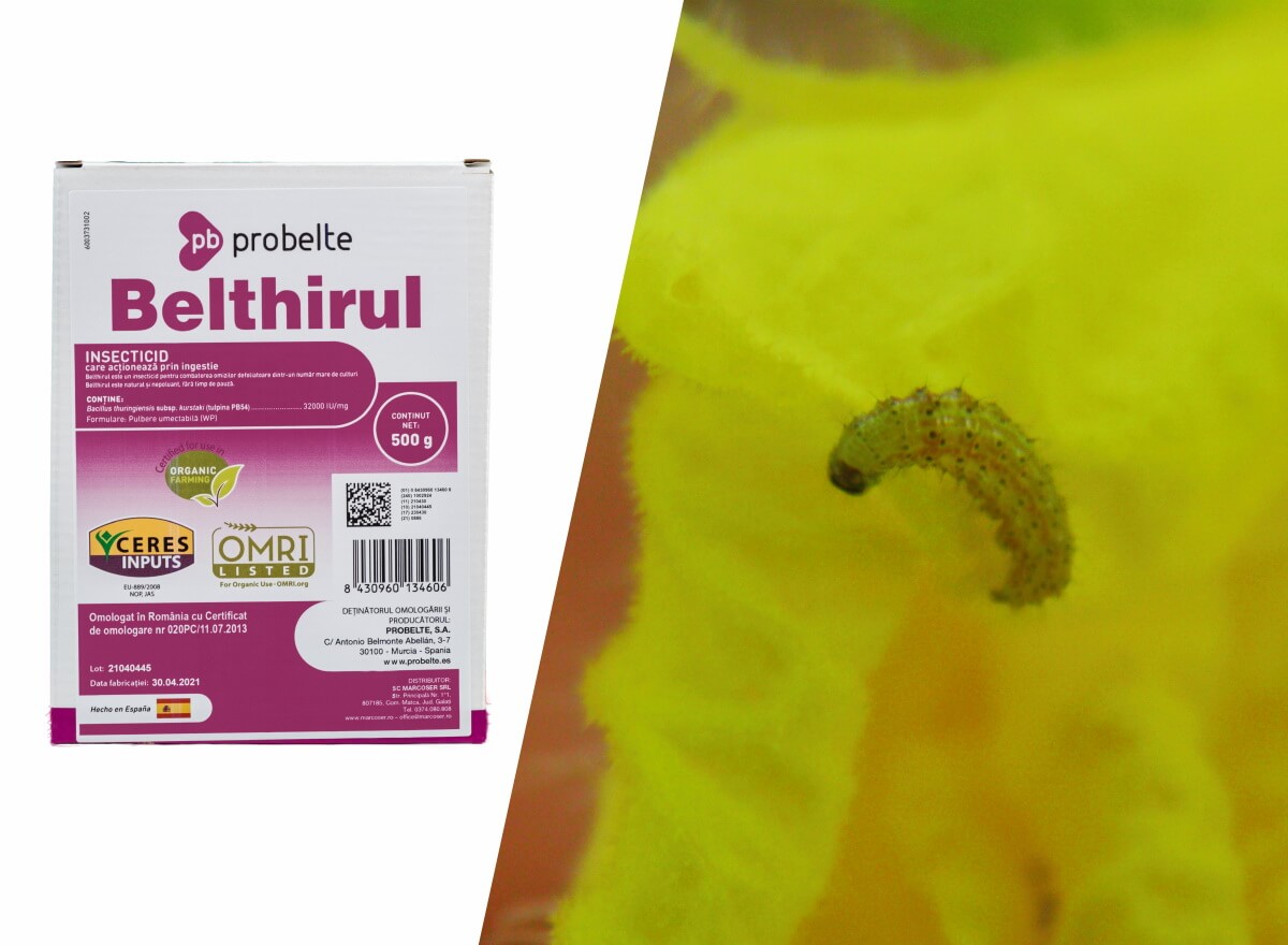 Insecticidul BIO pe baza de Bacillus Thuringiensis