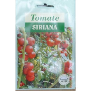 SIRIANA F1