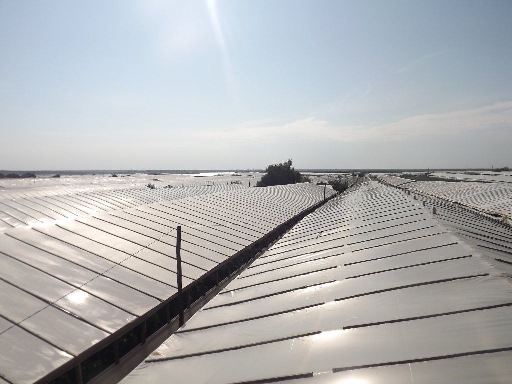 FOLIE DE ACOPERIRE SOLAR DE 150μ - GARANTIE 24 LUNI