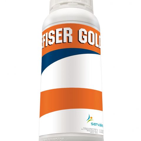 EFISER