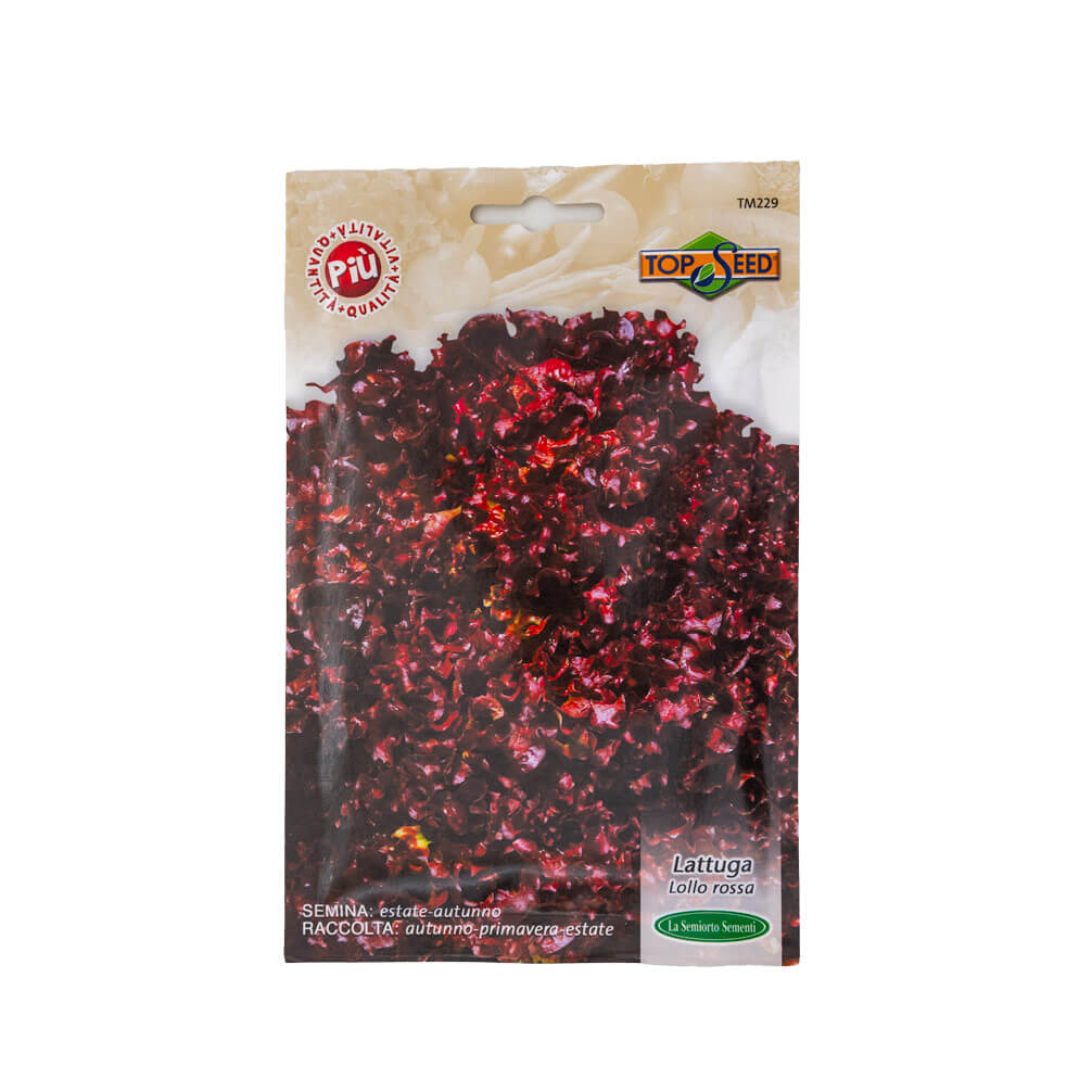 LOLLO ROSSA 